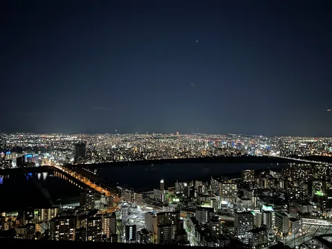 光あふれる大都市の夜景