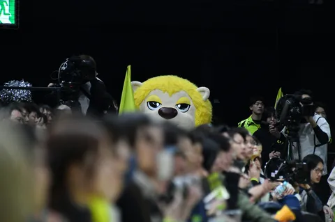 ゆるキャラ、メディアの隙間から
