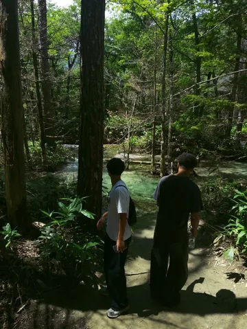 木漏れ日と神秘的な川
