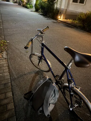 夜道と相棒、一人と一匹