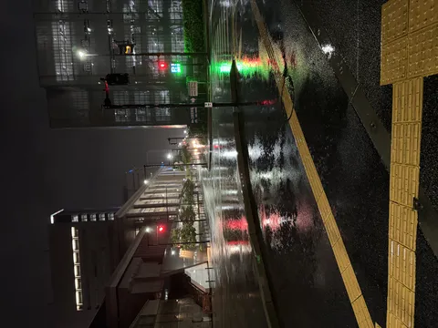 濡れた路面に映る街の光
