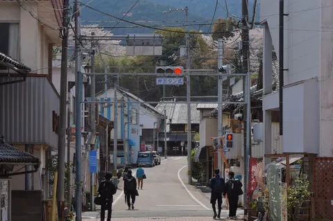 路地に映る春の赤信号