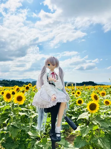 向日葵と童話ドールの夏空