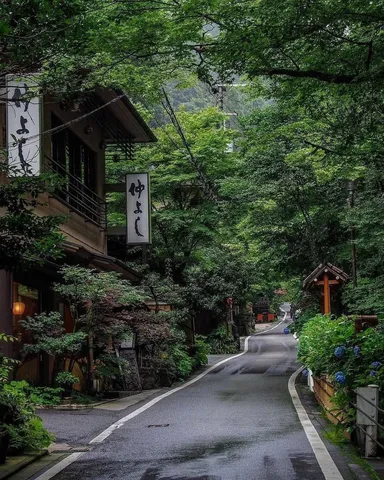 緑に包まれる小路