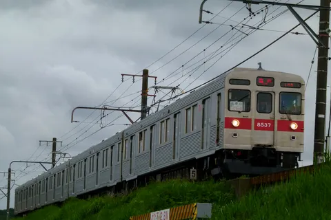 緑の中を行くレトロな列車