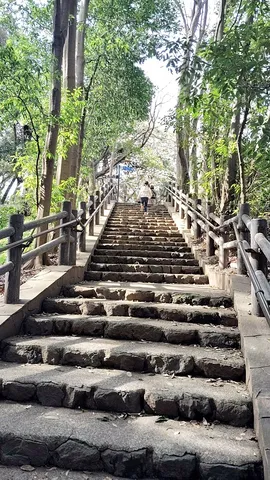 山頂へ続く石段を登る人
