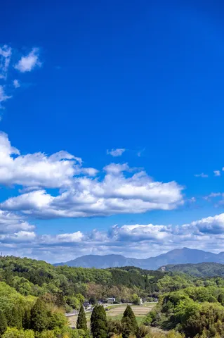 澄み渡る青空と里山の息吹
