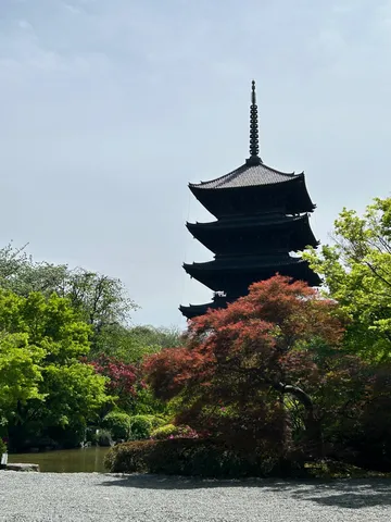 新緑と古塔の静寂