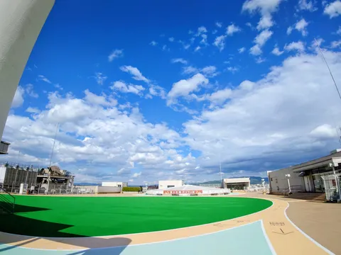 青空と人工芝のコントラスト