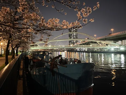 夜桜の下、舟はちょっぴり休憩中