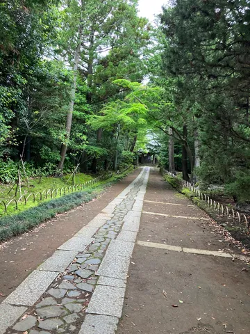 静寂の参道、緑深き道