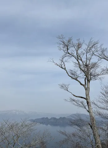 静寂に包まれた冬の湖畔