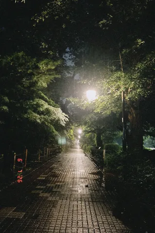 光に浮かぶ雨の路