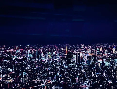 夜景に灯る、都会の光の海