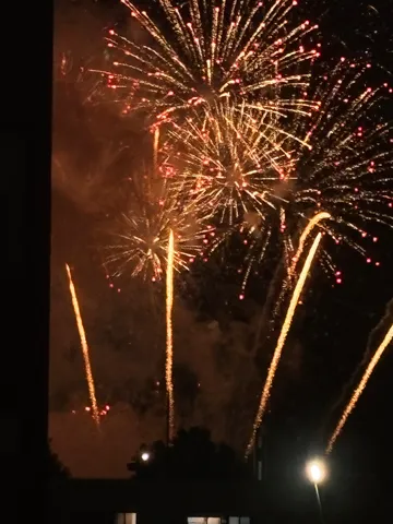 夜空に咲く金色の花火