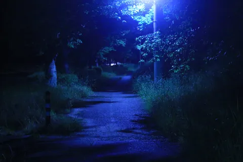真夜中の青い道