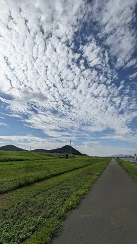 雲の波と緑の道が続く風景