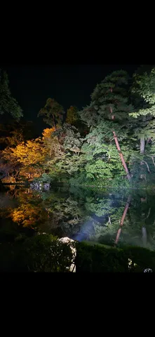 静寂に照らす夜の庭園