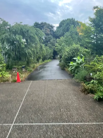 雨上がりの緑道