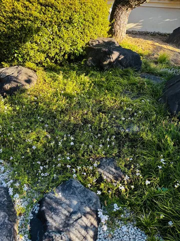 静寂に包まれた緑の庭園