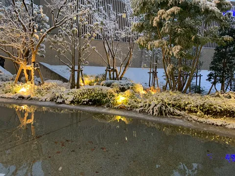 雪化粧した街灯りの庭園