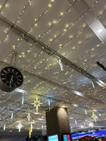 星降る夜の祝福