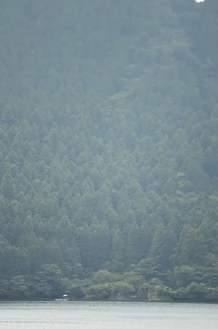 霧の山と静かな湖畔