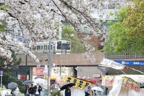 春の風景