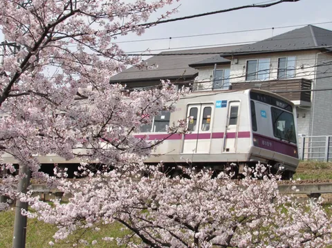 桜が彩る、春の線路風景
