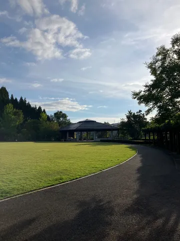 緑陰の静かな憩い