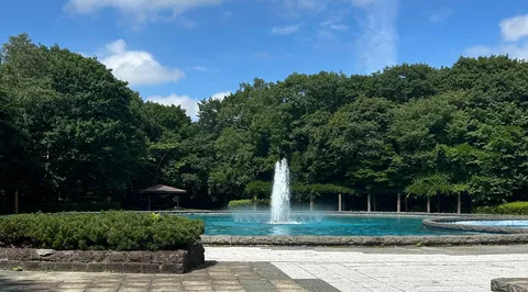 緑と噴水の爽やかな水景