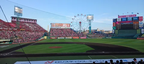 歓声と観覧車の球場風景