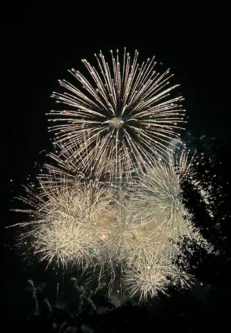 夜空を染める花火の海