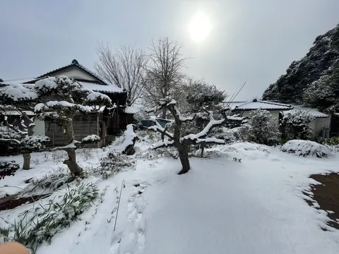 雪化粧した静かな庭