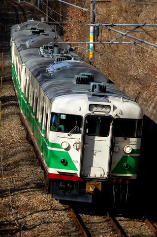 新緑と列車のコントラスト