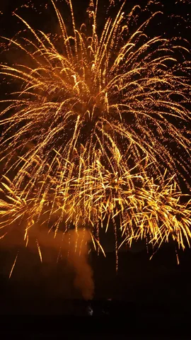 夜空に咲く黄金の華