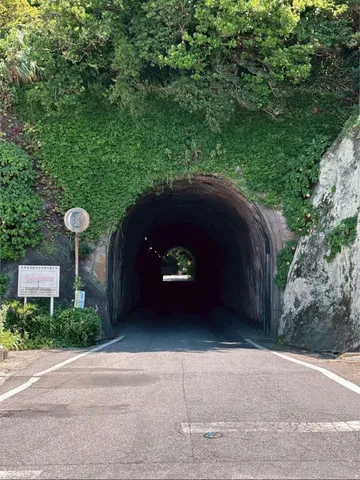 緑深まる神秘のトンネル