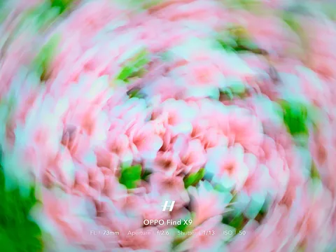 花吹雪のサイケデリック