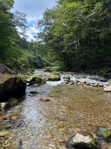 森を流れる清流の静けさ