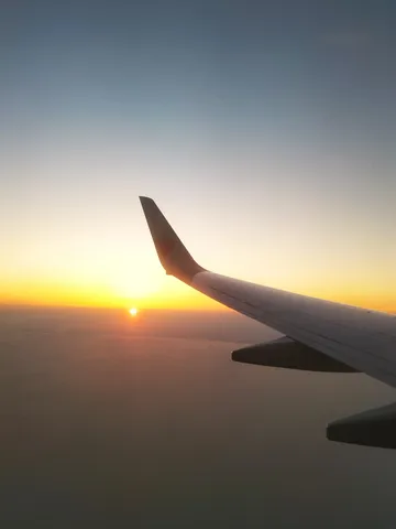 沈む太陽と翼の風景