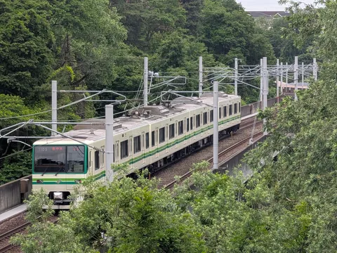 緑に溶け込む、緑の電車