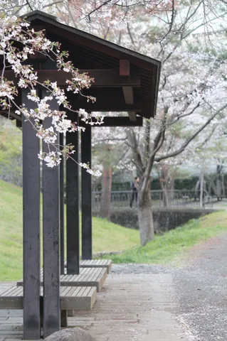 桜吹雪の東屋で一休み