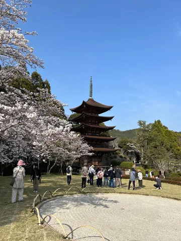 春風に揺れる五重塔の記憶