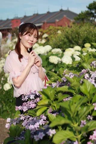 紫陽花に囲まれた穏やかな午後