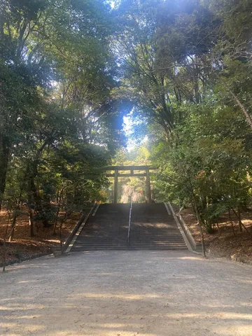 木陰の参道と鳥居の光景