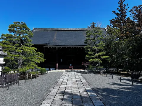 青空と木陰の静寂