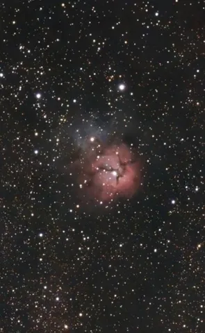 星降る夜に咲く神秘の光