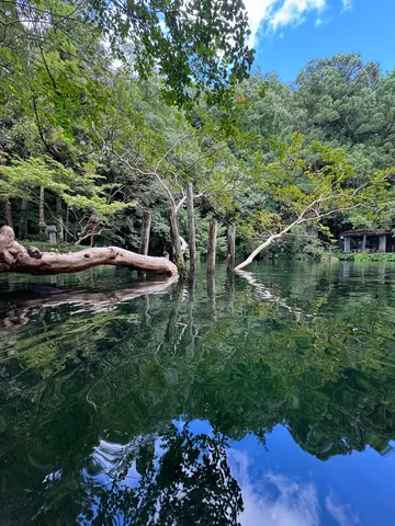 水辺に映る静かな時間