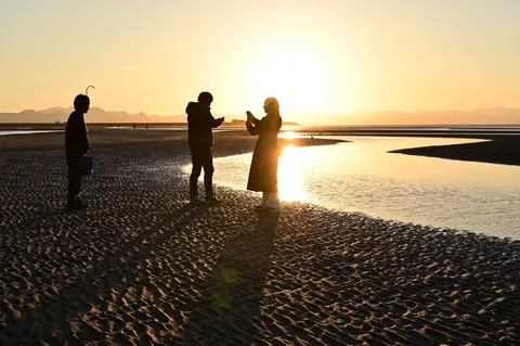 夕景に集うシルエット