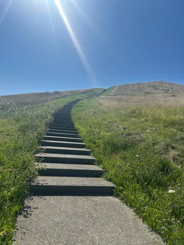 どこまでも続く、希望への階段